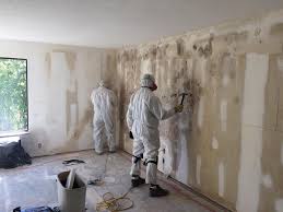 Best Real Estate Mold Inspection  in Morgantown, PA